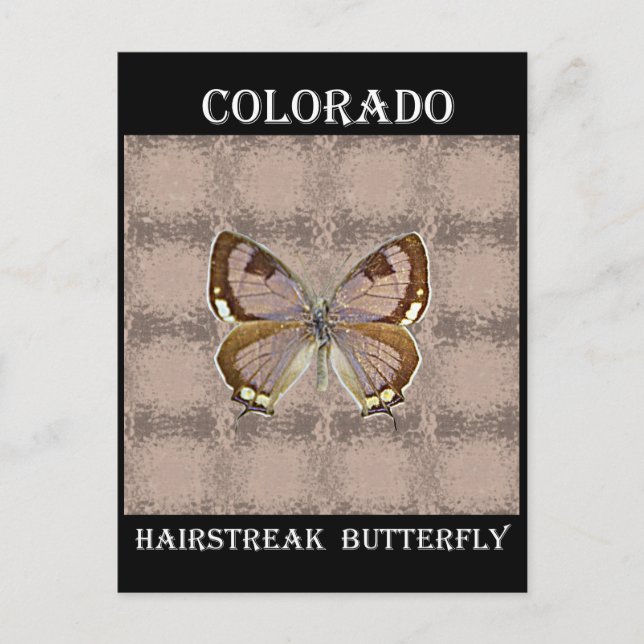 Postal Mariposa de Hairstreak de Colorado (Anverso)