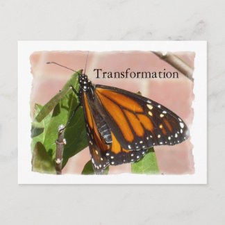 Postal Mariposa De La Transformación
