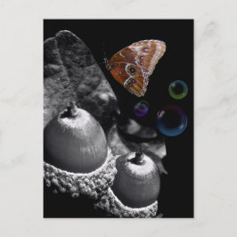 Postal Mariposa de maíz y burbujas