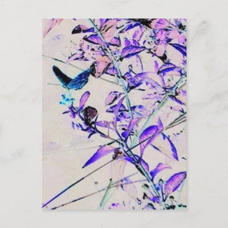 Postal Mariposa de Mod - Postcard
