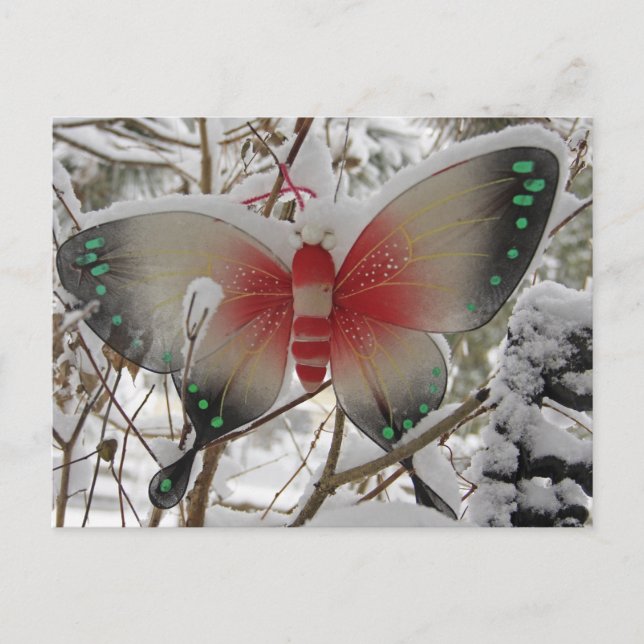 Postal Mariposa de nieve (Anverso)
