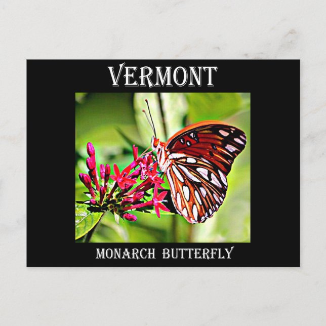 Postal Mariposa de Vermont Monarch (Anverso)
