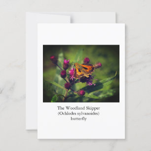Postal Mariposa de Woodland Skipper