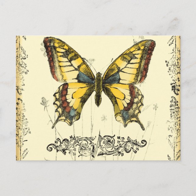 Postal Mariposa decorativa con flores silvestres (Anverso)