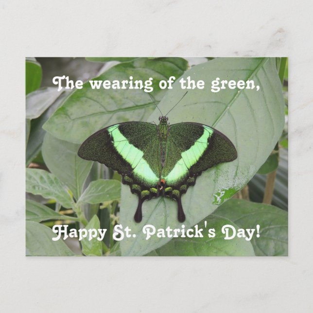 Postal Mariposa del Día de San Patricio (Anverso)
