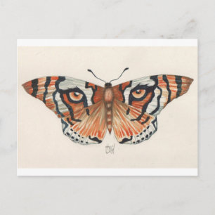 Postal mariposa del ojo del tigre