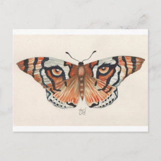 Postal mariposa del ojo del tigre