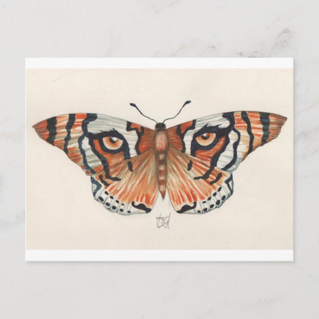 Postal mariposa del ojo del tigre (Anverso)