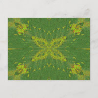 Mariposa Del Verde