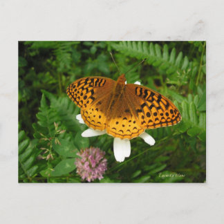 Postal Mariposa dorada