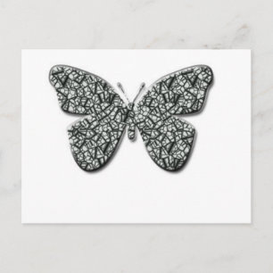 Postal Mariposa Elegante De Color Negro Y Blanco