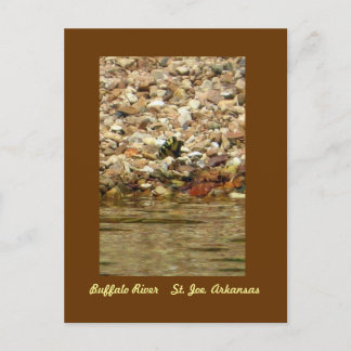 Postal Mariposa en el búfalo