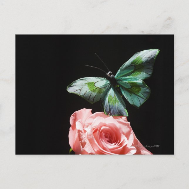 Postal Mariposa en flor (Anverso)