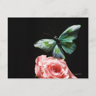 Postal Mariposa en flor