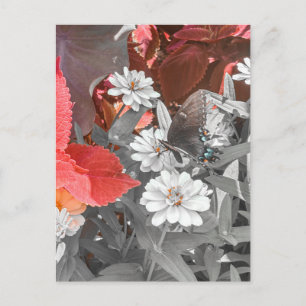 Postal Mariposa en flores blancas con follaje rojo