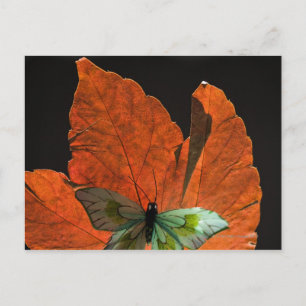Postal Mariposa en la hoja 2