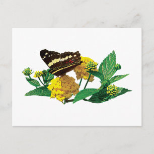 Postal Mariposa en la Lantana Amarilla