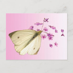 Postal Mariposa en las flores