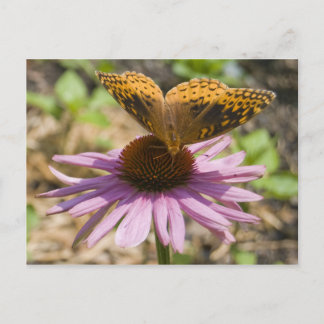 Postal Mariposa en un conefluente morado