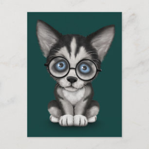 Postal Mariposa espuma cubana siberiana con gafas Verde a