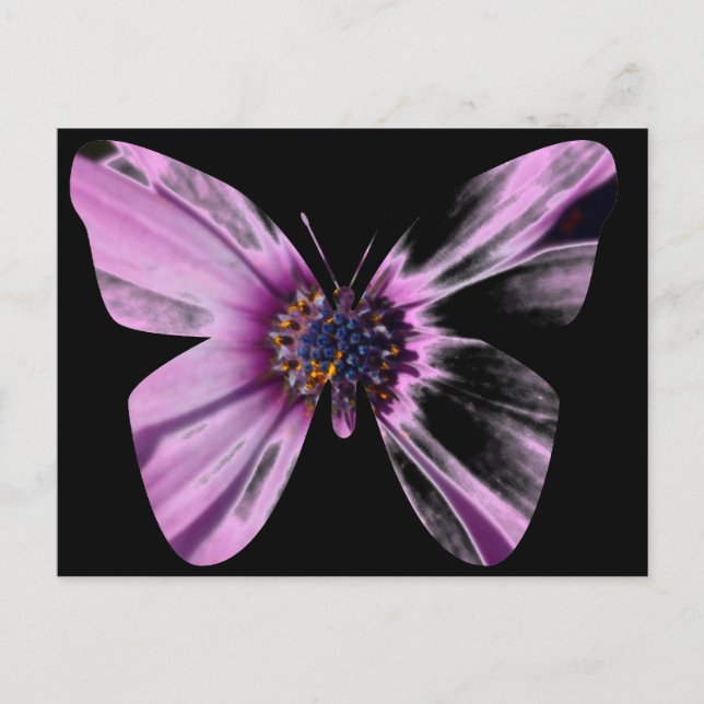 Postal Mariposa Flor (Anverso)