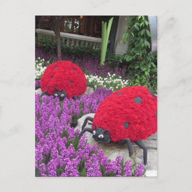 Postal Mariposa Jardín de las Vegas Flores Ladybug UNIQUE (Anverso)