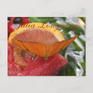 Postal Mariposa Julia Longwing # 2