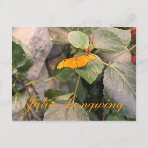 Postal Mariposa Julia Longwing # 4