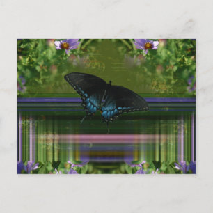 Postal Mariposa Mantle