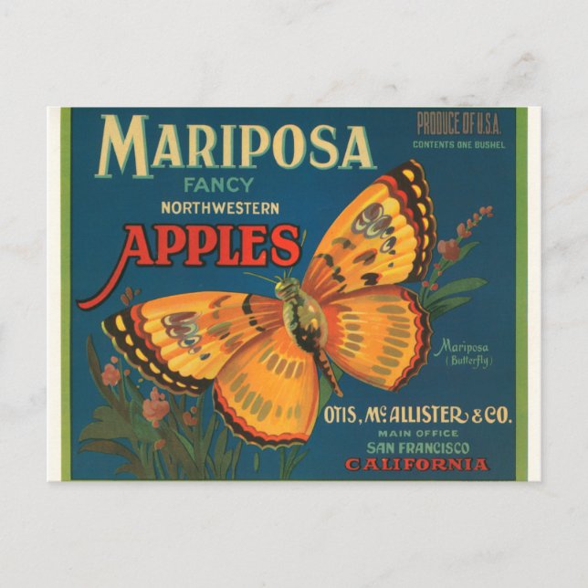 Postal Mariposa manzanas (Anverso)