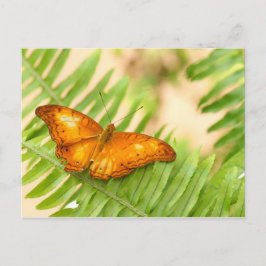 Postal mariposa migaja