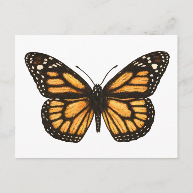 Postal Mariposa monarca (Anverso)