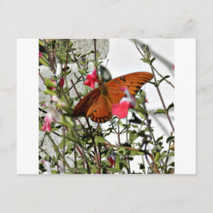Postal Mariposa monarca