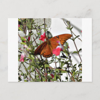 Postal Mariposa monarca