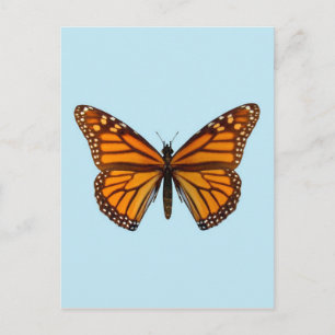 Postal Mariposa Monarca