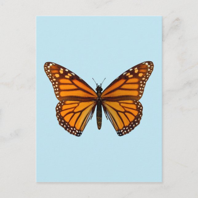 Postal Mariposa Monarca (Anverso)