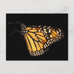Postal Mariposa monarca