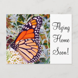 Postal Mariposa monarca