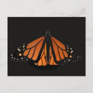 Postal Mariposa monarca en la llave del Naranja