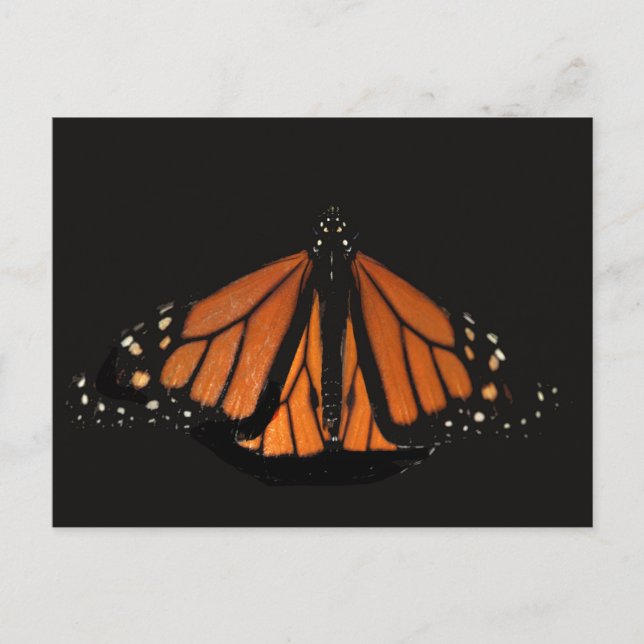 Postal Mariposa monarca en la llave del Naranja (Anverso)