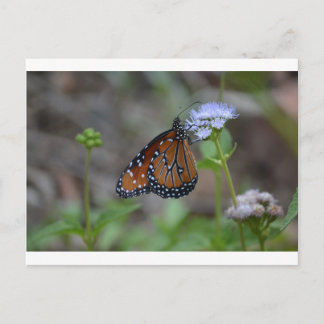 Postal Mariposa monarca en la serie mariposa de LellO