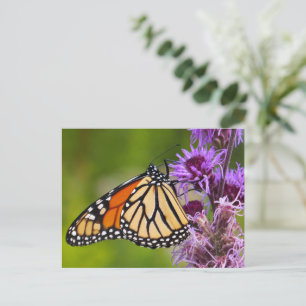 Postal Mariposa Monarca en Liatris