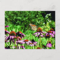 Mariposa monarca en una colmena morada