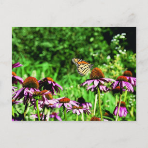Postal Mariposa monarca en una colmena morada