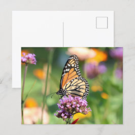 Postal Mariposa monarca en Verbena Blank