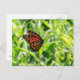 Postal Mariposa monarca en vuelo (Anverso / Reverso)