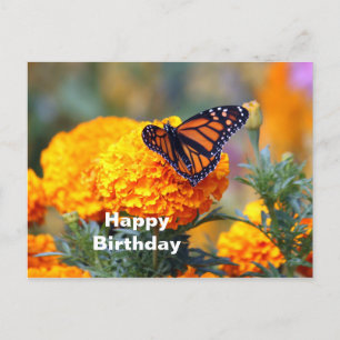 Postal Mariposa Monarca Marigold Foto Cumpleaños