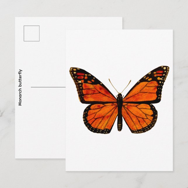 Postal Mariposa monarca Pequeña (Anverso / Reverso)