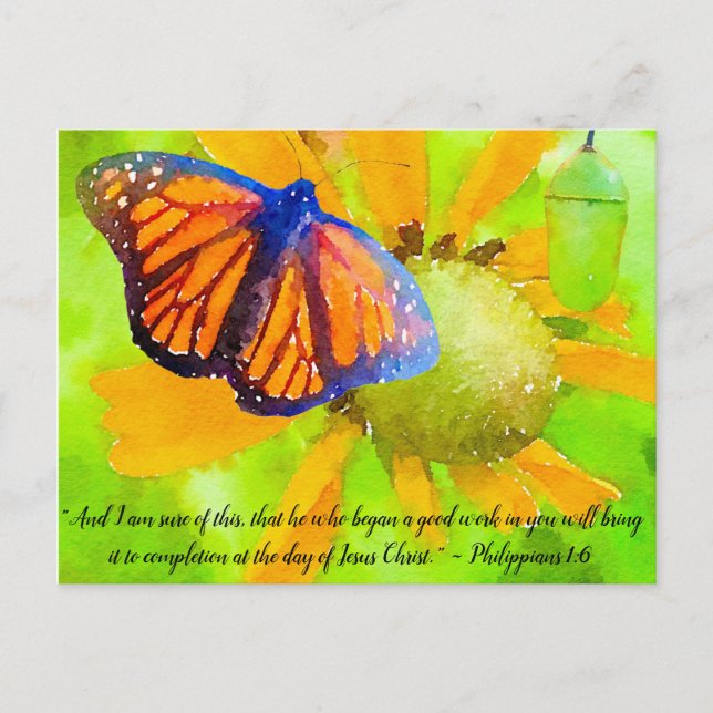 Postal Mariposa monarca y crisálida Filipinas 1:6 (Anverso)