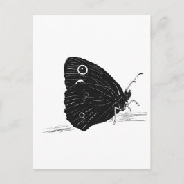 Postal Mariposa monocromo